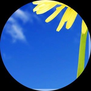 Meet your Posher, Hongkham